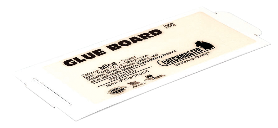 Átlátszó kompakt patkányláda magasított tetővel - Image 10