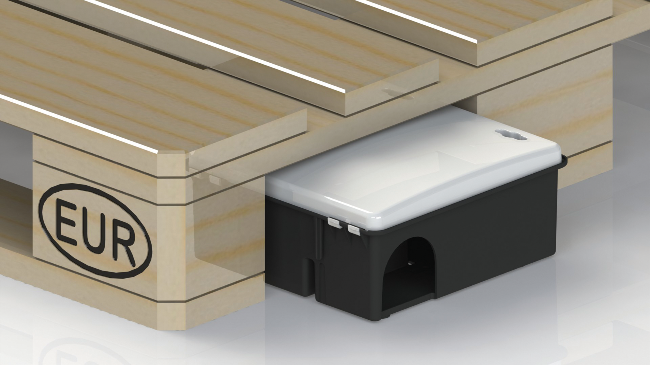 Átlátszó kompakt patkányláda magasított tetővel - Image 27